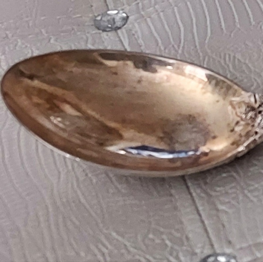 Silver Serving spoon